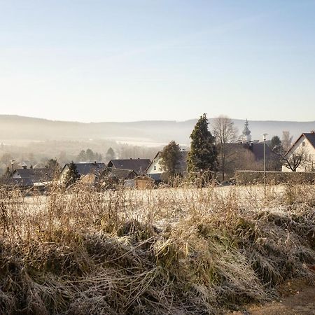 Ferienwohnung Bergaecker Neualbenreuth Bagian luar foto